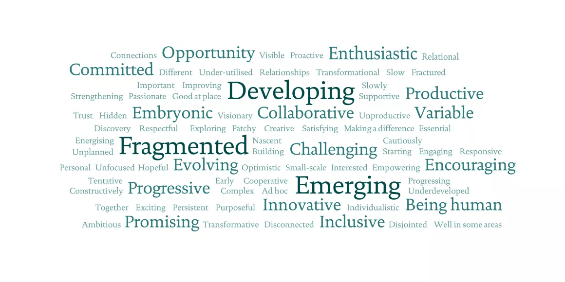 Word cloud showing frequency of words used to describe anchor action.
